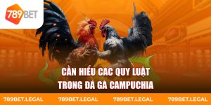 Cần hiểu các quy luật trong đá gà Campuchia